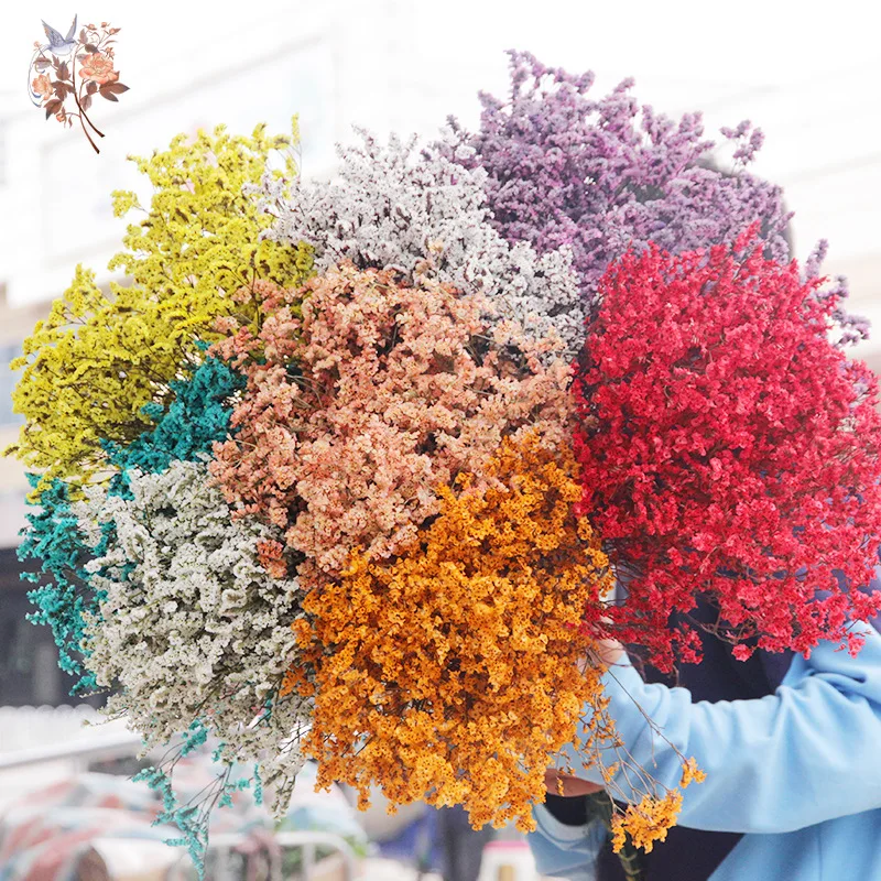 Dried Flowers Natural Crystal  - Dried Flower Bulk 评论和价格