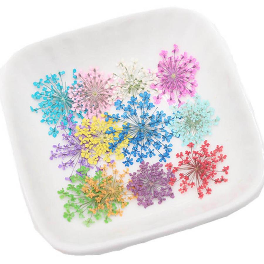 60pcs Pressed Dried 15-25mm Am - Dried Flower Bulk 评论和价格