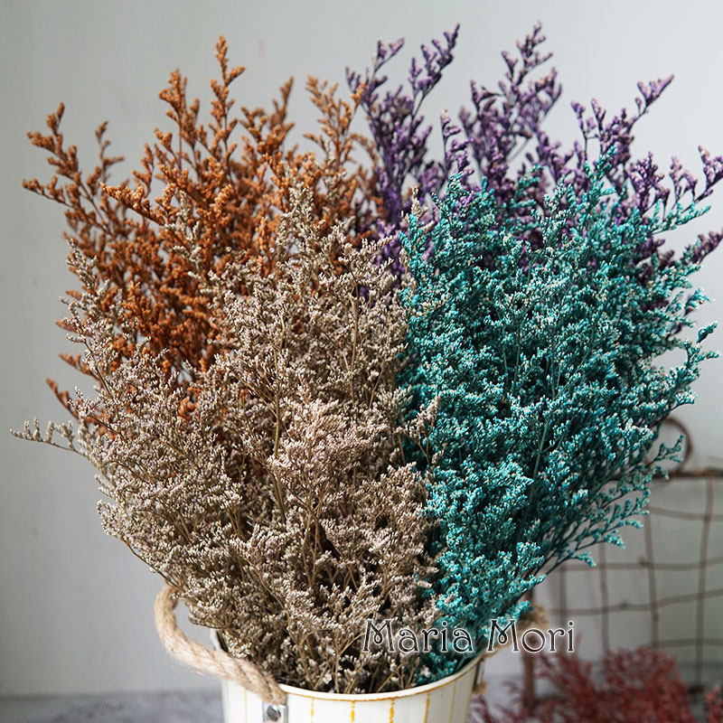 70g/Preserved Valentine's Gras - Dried Flower Bulk 评论和价格