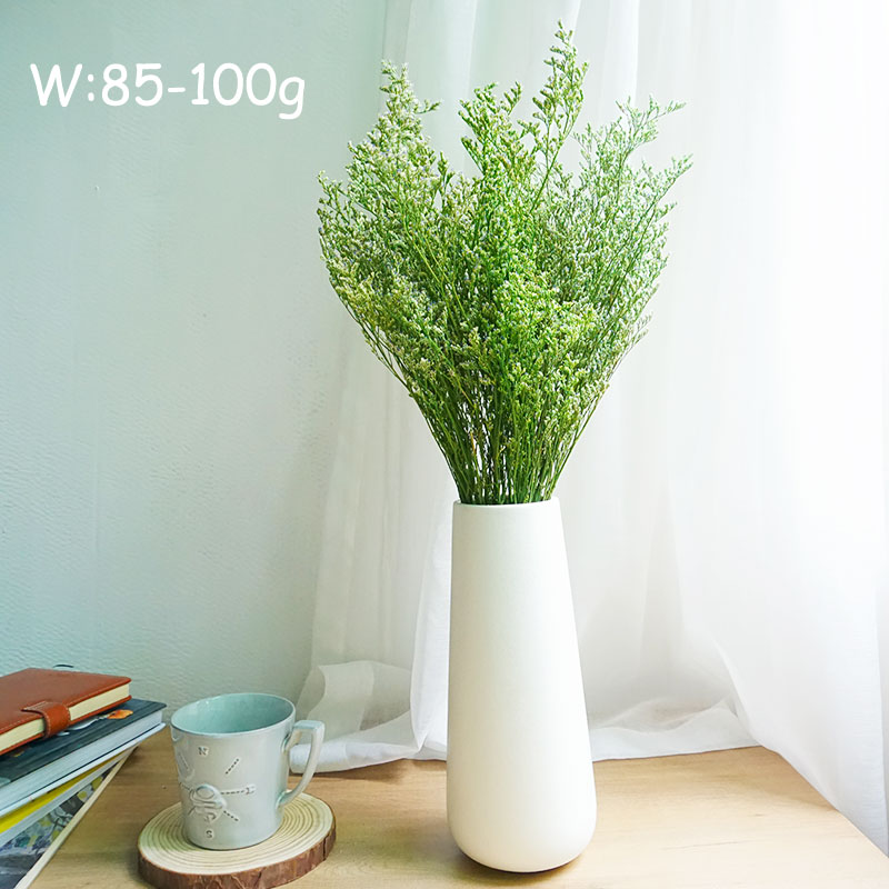 70g/Preserved Valentine's Gras - Dried Flower Bulk 评论和价格