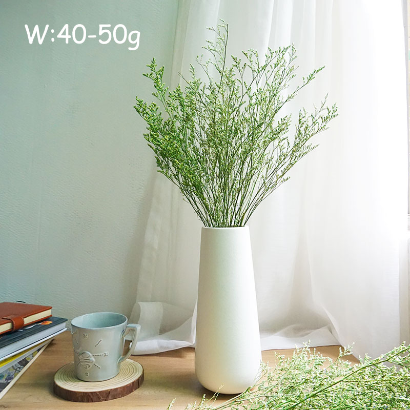 70g/Preserved Valentine's Gras - Dried Flower Bulk 评论和价格