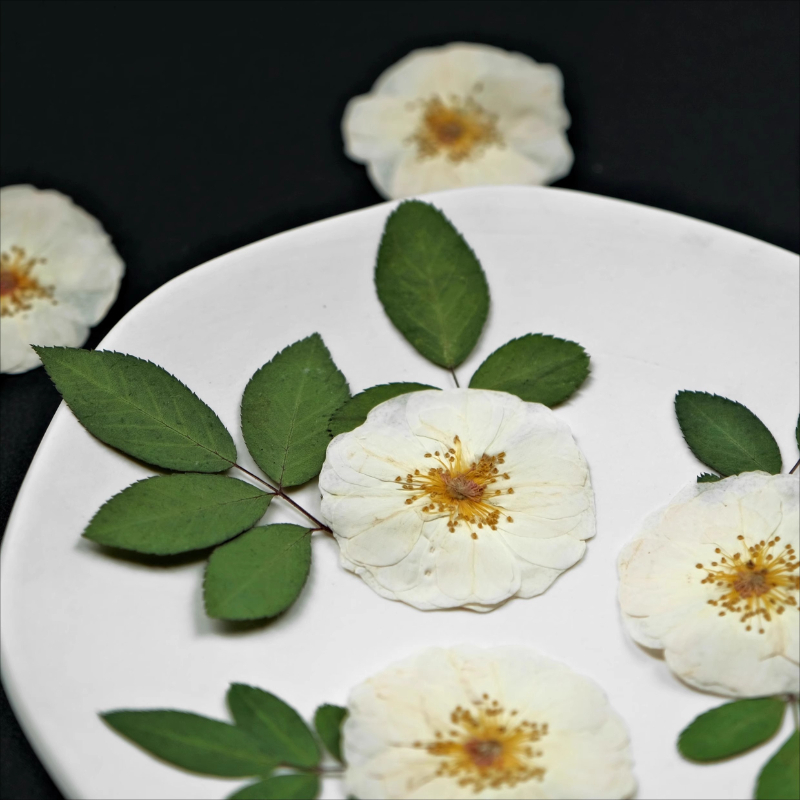 6pcs,9pcs,Nature White Rose Pr - Dried Flower Bulk 评论和价格