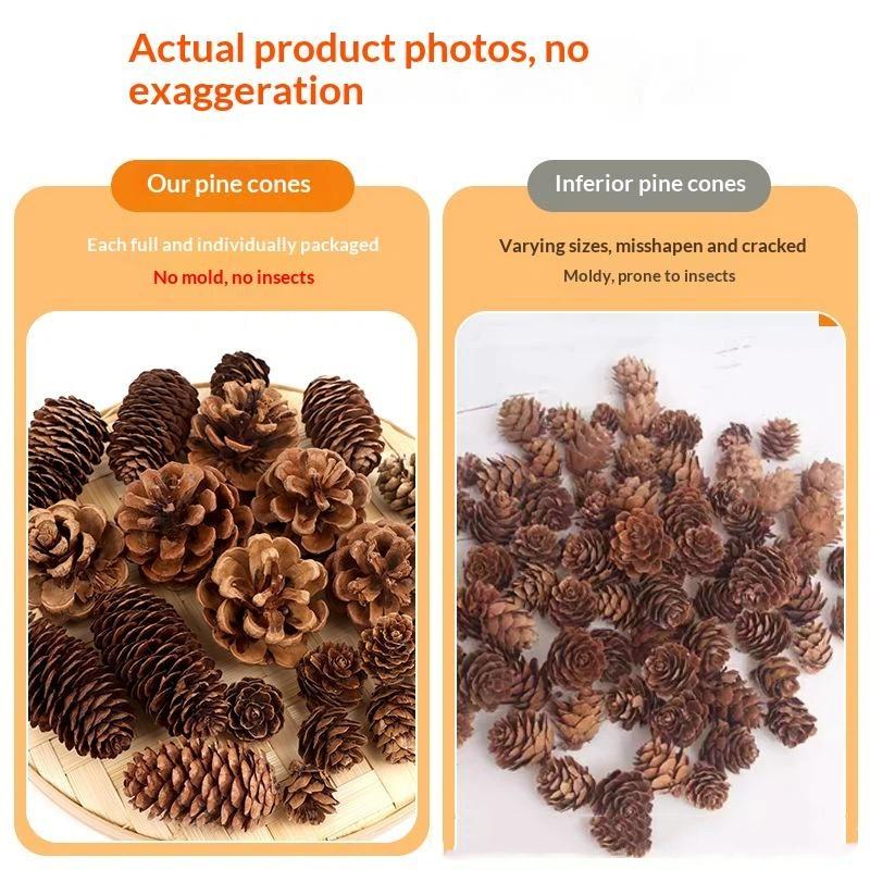 Natural Dried Pine Cones 5/10/ - Dried Flower Bulk 评论和价格